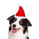 Gorro Navidad perros