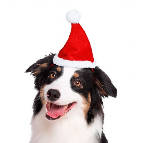 Gorro Navidad perros