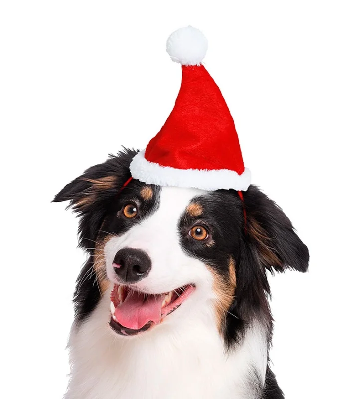 gorro navidad perros