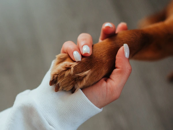 servicios tienda animales Córdoba